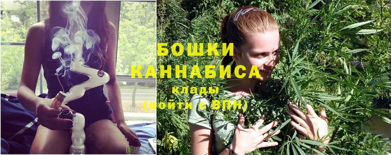 хочу   Ковдор  Марихуана SATIVA & INDICA 